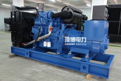 頂博電力玉柴柴油發(fā)電機(jī)組有哪些卓越的性能特點(diǎn)？