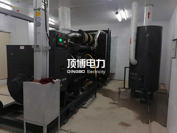 200千瓦上柴發(fā)電機
